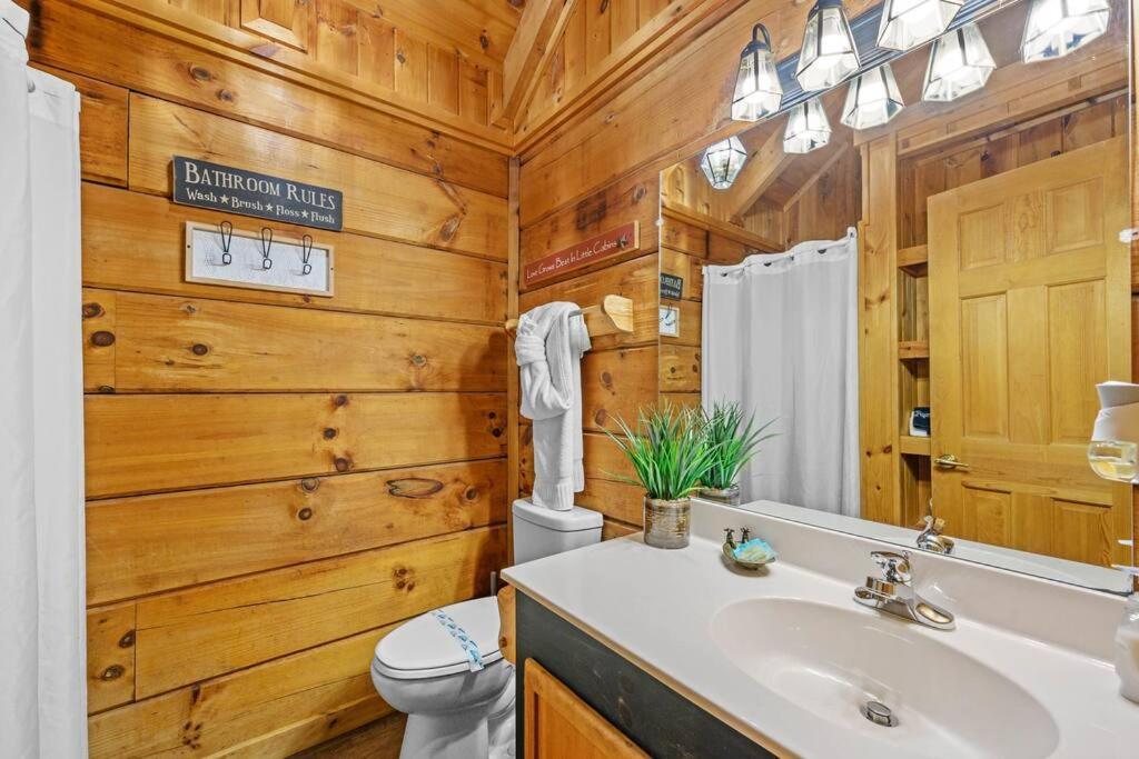 Do Not Disturb - Pigeon Forge Smoky Mountain Studio Cabin, Hot Tub, Fireplace Kültér fotó