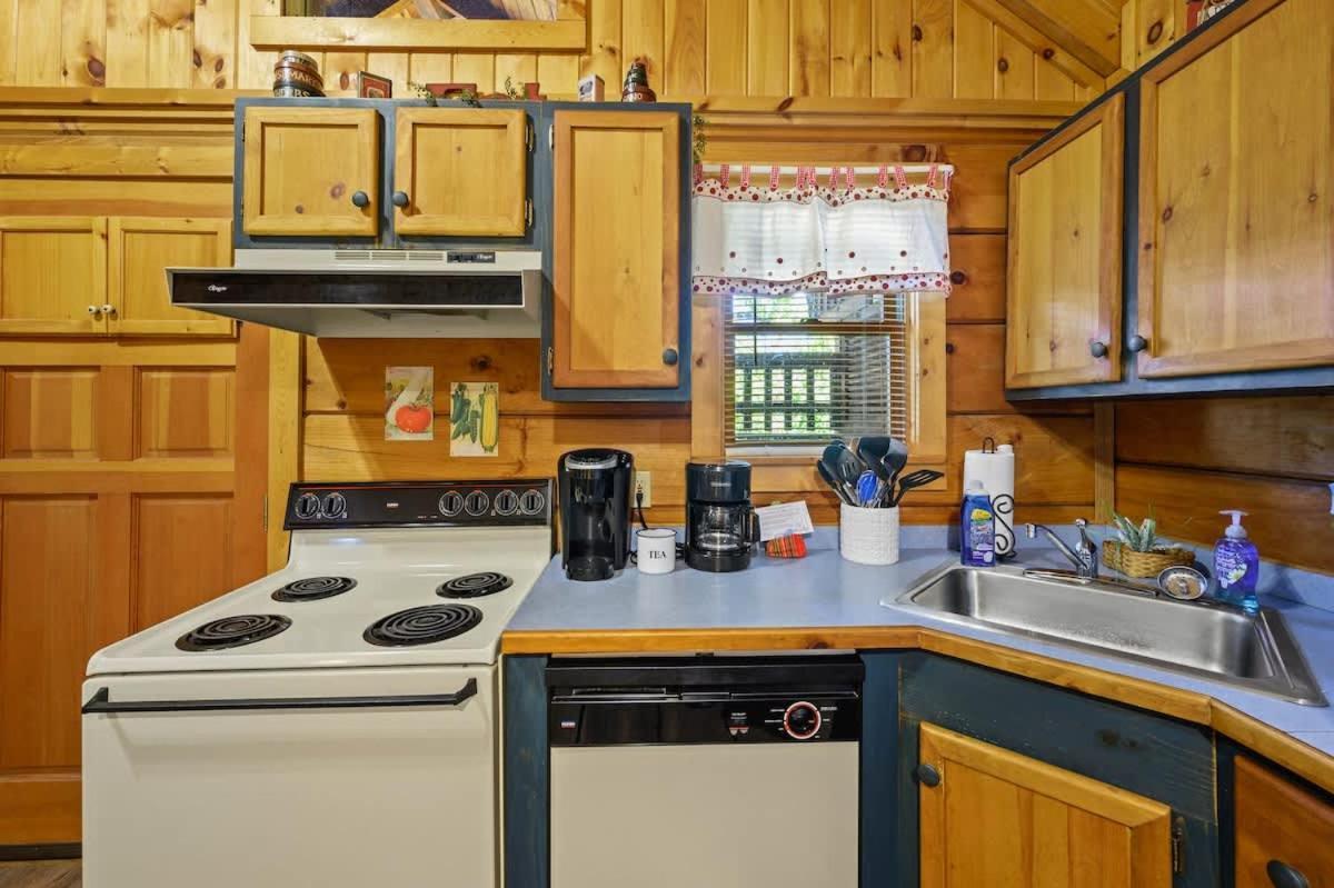 Do Not Disturb - Pigeon Forge Smoky Mountain Studio Cabin, Hot Tub, Fireplace Kültér fotó